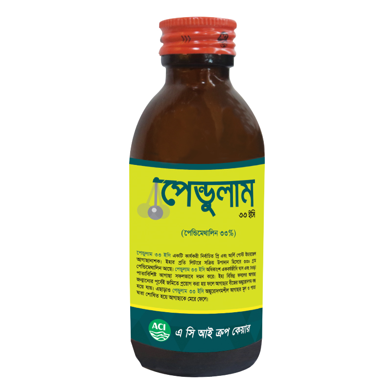 পেন্ডুলাম ৩৩ ইসি - Pendulam 33 EC
