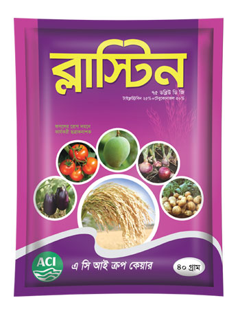 ব্লাস্টিন ডব্লিউ ডি জি