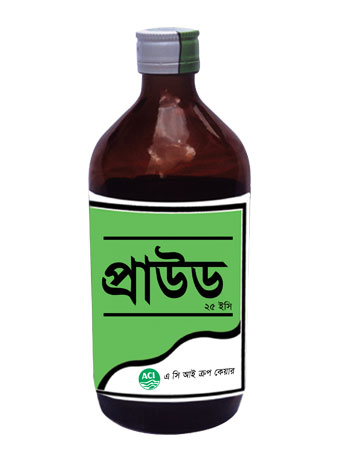 প্রাউড ২৫ ই সি