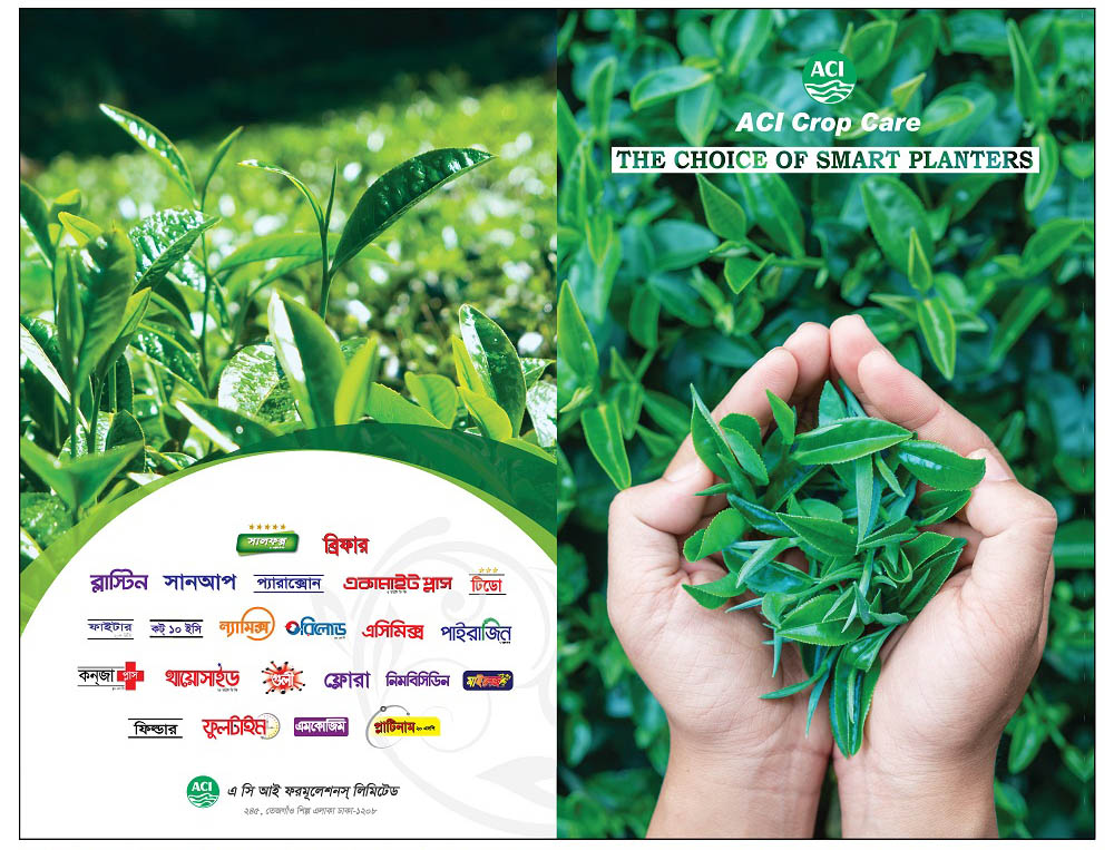 Tea Pest Management