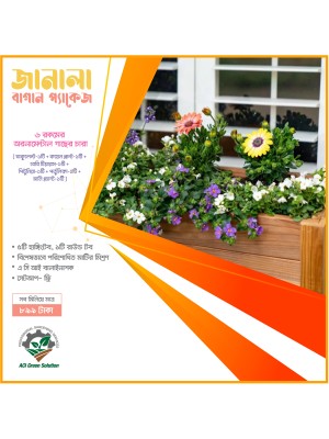 জানালা বাগান প্যাকেজ - Window Garden Package